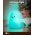 Goobay LED �jjeli l�mpa pingvin melegfeh�r �s 7 sz�nv�lt�s 3 �zemm�d �rint� USB-C Li-Ion