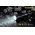 Nitecore MH27UV zsebl�mpa CREE XP-L HI V3 1000lm UV365nm