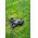 Goobay k�lt�ri h�romutas hosszabb�t�k�bel 25m 3x1,5mm2 fekete v�d��rintkez�s CEE7/7->3x CEE7/3 IP44