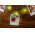 Goobay LED fot�csipeszes f�nyf�z�r 10db Tannenbaum 3000K melegfeh�r id�z�t� elemes(2xAA) IP20