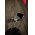 3sixT 4in1 v�d�csomag Samsung Galaxy S24+ tok kijelz�v�d� kamerav�d� applik�tor