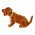 Eredeti l Blogats kutya kalaptartra vagy dsznek kicsi 20cm x 10cm, barna