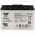 Yuasa NPL24-12 12V 24Ah akku AGM �lom-zsel�s
