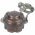 AccuSafe akku t�rol� CR123/18350 1-6db v�z�ll� �ttetsz� 1db/csomag