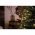 Konstsmide Micro LED belt�ri f�nyf�z�r matt 20 LED melegfeh�r 30V 6341-120