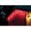 Lotti RGB j�gcsap f�nyf�z�r 180 LED 6m vil�g�t� hossz 10m 48126