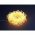 Lotti LED cluster f�nyf�z�r 1000 LED melegfeh�r 20m 31V IP44 vez�rl� 67684