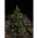 Konstsmide 5db/csomag vezet�k n�lk�li LED gyertya 1935-100 melegfeh�r IP44 elemmel