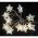 EGB LED d�szl�nc fa csillagok O5cm 10 LED melegfeh�r 1,4m id�z�t� elemmel m�k�d�