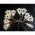 EGB LED d�szf�z�r fa d�szekkel melegfeh�r id�z�t�vel 3xAA 1,4m 10LED