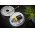 Intenso E-Block LR61 9V 4db/csomag hagyom�nyos elem alk�li