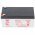 Yuasa NP3.2-12 akku 12V 3200mAh Faston 4,8mm AGM �lom-zsel�s