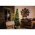 Konstsmide Micro LED belt�ri f�nyf�z�r matt 20 LED melegfeh�r 30V 6341-120