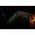 Lotti RGB j�gcsap f�nyf�z�r 180 LED 6m vil�g�t� hossz 10m 48126