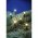 Konstsmide Micro LED f�nyf�z�r k�lt�ri 40 melegfeh�r LED 3610-140 csillog� effekt