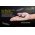 Nitecore TIP CRI 2017 Nichia 2198 zsebl�mpa 240lm 500mAh Li-Ion