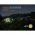 Fenix TK21R 3600lm taktikai LED zsebl�mpa 480m