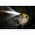 Energizer Hardcase LED-es fejl�mpa, 600 lm, 3db AA elemmel HCHD311 - Ki�rus�t�s