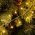 Lotti LED cluster f�nyf�z�r 1000 LED melegfeh�r 20m 31V IP44 vez�rl� 67684