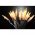 EGB LED f�nyf�z�r 10LED 230V 4,5W �tl�tsz� vezet�k borosty�n 1,8m vil�g�tott 3,3m teljes