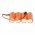Helyettes�t� akku modell�p�t� Racing-Pack HHR-30SCPA21 4,8V 3000mAh Tamiya SC NiMH