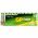 GP Alk�li AA 1,5V 20db/csomag