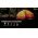 Nitecore LR60 Campbank 3in1 kempingl�mpa powerbank akkut�lt� 280lm