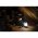 Energizer Vision t�lthet� kemping l�mpa, 1000lm
