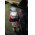 Led Lenser gyermek fejl�mpa, 40 lumen, z�ld