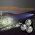 Fenix TK72R LED zsebl�mpa 7.2V 7000mAh akku Li-Ion