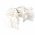 Lotti LED f�nyf�z�r csillag �s feny�fa mot�vummal 4,75m 220-240V id�z�t� IP44