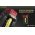 Nitecore V2 aut�s gyorst�lt� 1 vagy 2 akkuhoz 12V 3A USB kimenettel