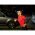 Energizer t�lthet� sport fejl�mpa, 200lm