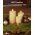 Goobay 3db/csomag LED gyertya Outdoor feh�r 8x AA (LR6) elemekkel egy�tt t�vir�ny�t� IP44 3000K