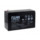olom-akku-12V-7-2Ah-FIAMM-tipus-FG20721-VDS-minositessel-csatlakozo-F1-